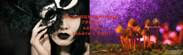 индика Остров