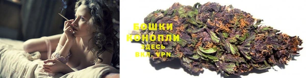 индика Остров