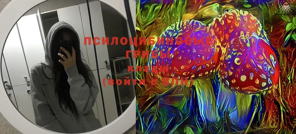 индика Остров