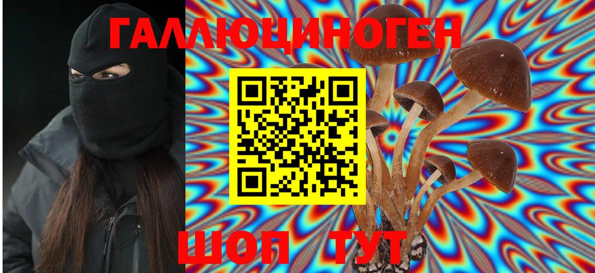 Галлюциногенные грибы ЛСД Волжск