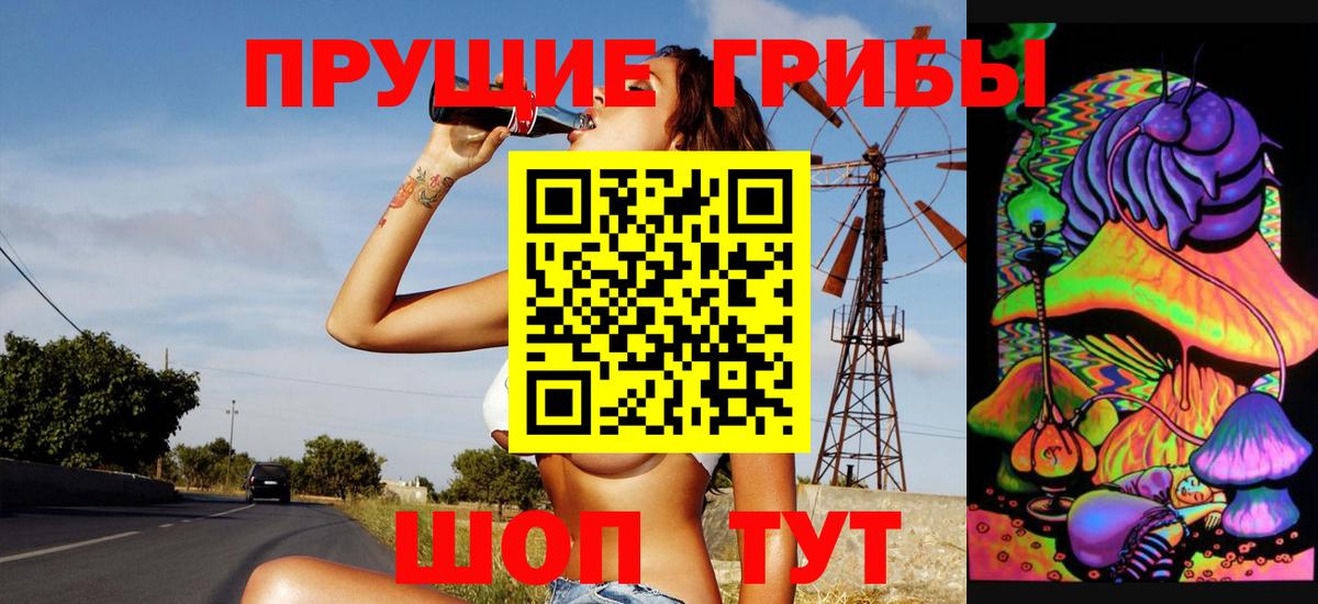 Волжск  Псилоцибиновые грибы мицелий  Вход с VPN  Псилоцибиновые грибы Cubensis 