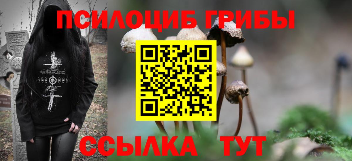Галлюциногенные грибы Magic Shrooms  закладки  Волжск  Галлюциногенные грибы прущие грибы 