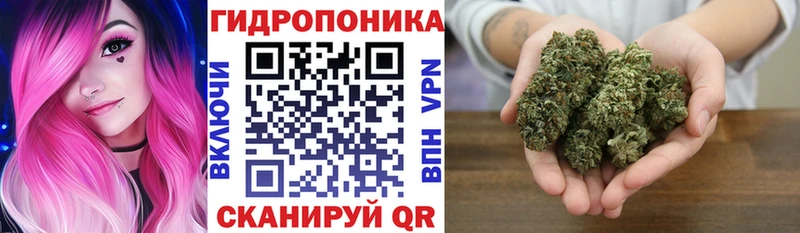 купить   Волжск  мега зеркало  Конопля конопля 